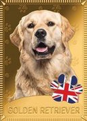 1 Dollar - Elizabeth II Golden retriever reverse image