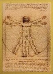 1 Dollar - Elizabeth II Vitruvian Man, New Zealand, 2022 reverse image