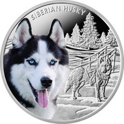 1 Dollar - Elizabeth II Siberian Husky, Niue, 2016 reverse image
