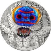 2 Dollars - Elizabeth II Peacock Spider, Niue, 2021 reverse image