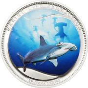 1 Dollar Scalloped Hammerhead, colored reverse image