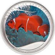 1 Dollar Maroon Clownfish, colored, Palau, 2011 reverse image