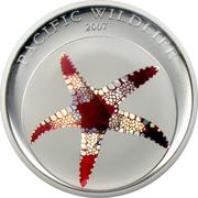 5 Dollars Starfish, Palau, 2007 reverse image