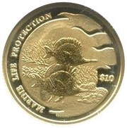 10 Dollars - Elizabeth II Marine Life Protection, Solomon Islands, 2001 reverse image