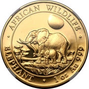 1000 Shillings Elephant; Gold, Somalia, 2011 reverse image