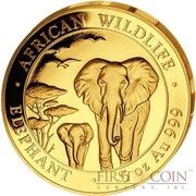 1500 Shillings Elephant; Gold, Somalia, 2015 reverse image