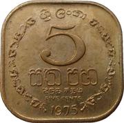 5 Cents reverse image