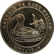 1 Kuruş White-Headed Duck reverse image