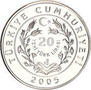 20 New Lira Maglova Aquaduct obverse image