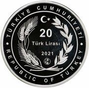 20 Lira Istanbul Canal obverse image