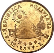 8 Scudos obverse image
