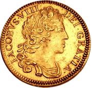 1 Guinea - James VIII Restrike, Pattern obverse image