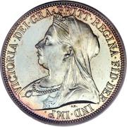 1 Florin - Victoria 3rd portrait obverse image