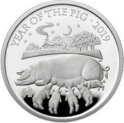 2 Pounds - Elizabeth II Year of the Pig; Silver Proof, United Kingdom, 2019 reverse image