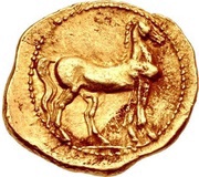 ¼ Stater reverse image