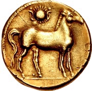 Trihemistater reverse image