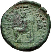 Tetrachalkon Phigaleia reverse image