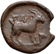 Æ19, Greece (ancient), 325 BC - 275 BC reverse image