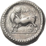 Stater obverse image