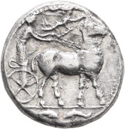 Tetradrachm obverse image
