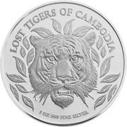 3000 Riels - Lost Tigers of Cambodia, Cambodia, 2022 reverse image
