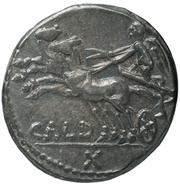 Denarius Coelia: C. Coelius Caldus; C•COIL CALD, Rome, 104 BC reverse image