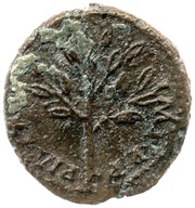As - Nero P M TR P IMP P P, Rome, 62-68 reverse image