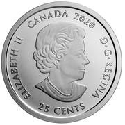 25 Cents - Elizabeth II Toronto Raptors obverse image