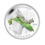 3 Dollars - Elizabeth II Caterpillar and Chrysalis, Canada, 2014 reverse image