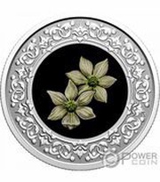 3 Dollars - Elizabeth II British Columbia; Pacific Dogwood, Canada, 2020 reverse image