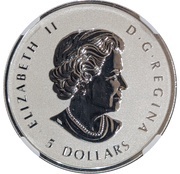 5 Dollars - Elizabeth II SML fractionnal set; 1 oz obverse image