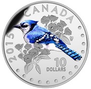 10 Dollars - Elizabeth II Blue Jay, Canada, 2015 reverse image