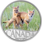 10 Dollars - Elizabeth II Wild Swift Fox, Canada, 2017 reverse image