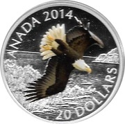 20 Dollars - Elizabeth II Soaring Bald Eagle, Canada, 2014 reverse image