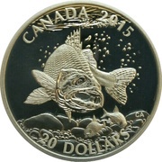 20 Dollars - Elizabeth II Walleye, Canada, 2015 reverse image