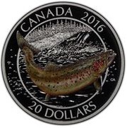 20 Dollars - Elizabeth II Atlantic Salmon, Canada, 2016 reverse image