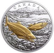20 Dollars - Elizabeth II Pacific Salmon, Canada, 2017 reverse image