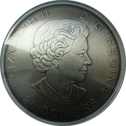 25 Dollars - Elizabeth II Library of Parliament obverse image