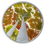 30 Dollars - Elizabeth II Canadian Canopy, Canada, 2019 reverse image