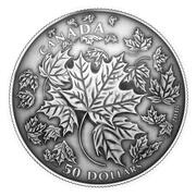 50 Dollars - Elizabeth II Maple Leaves in Motion, Canada, 2018 reverse image
