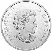 100 Dollars - Elizabeth II Canada’s Provincial and Territorial Flags obverse image