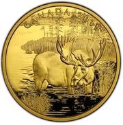 200 Dollars - Elizabeth II Canadian Moose, Canada, 2019 reverse image