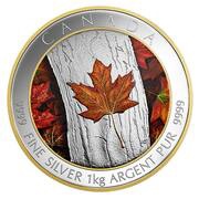 250 Dollars - Elizabeth II Maple Leaf Forever, Canada, 2016 reverse image