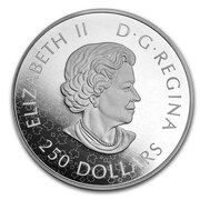 250 Dollars - Elizabeth II Reimagined 1905 Arms of Dominion of Canada obverse image