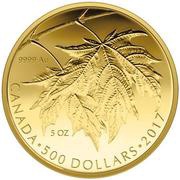 500 Dollars - Elizabeth II Maple Leaves, Canada, 2017 reverse image