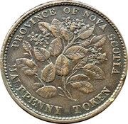 ½ Penny - Victoria reverse image