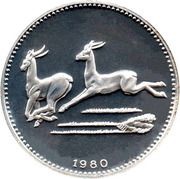2000 Ekuele Impalas reverse image