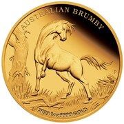 100 Dollars In the name of Elizabeth II; 6th Portrait - Australia Brumby - Gold Bullion, Australia, 2023 reverse image