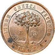 8 Pesos Provisional Coinage reverse image