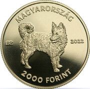 2000 Forint Mudi obverse image